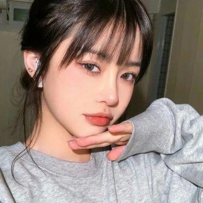 锦囊妙录